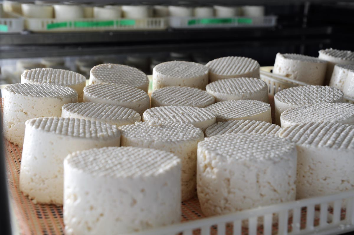 Queijo de Azeitão