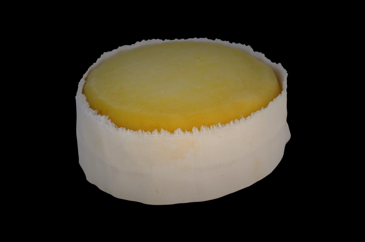 Queijo de Ovelha Curado